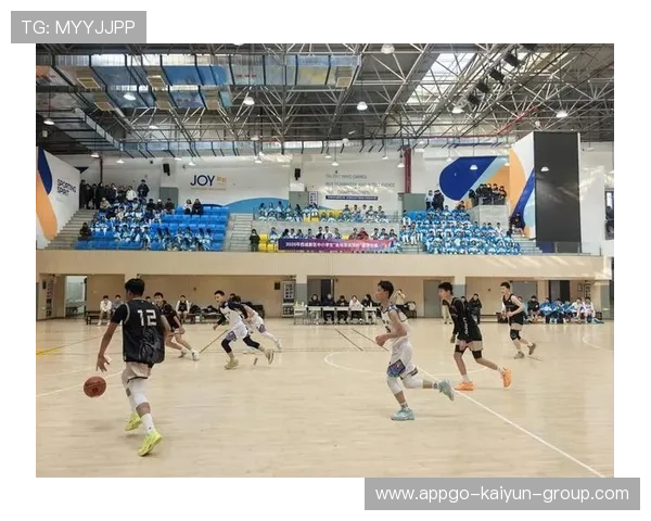 篮球项目在中国青少年犯罪预防中的社会价值，青少年篮球比赛的意义